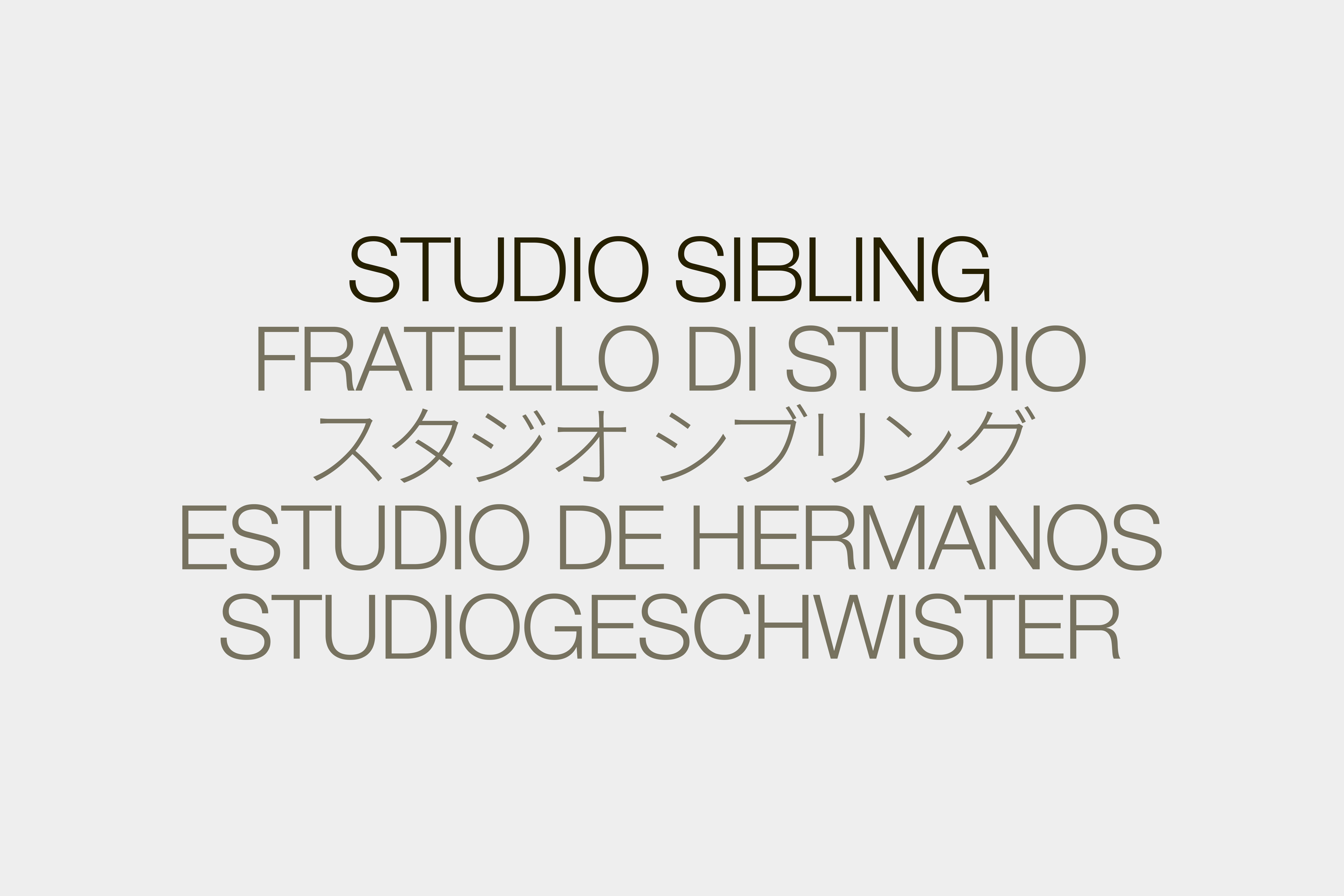 Studio Sibling 2